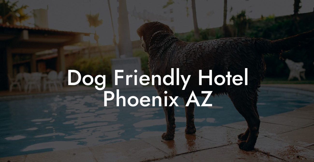 Dog Friendly Hotel Phoenix AZ