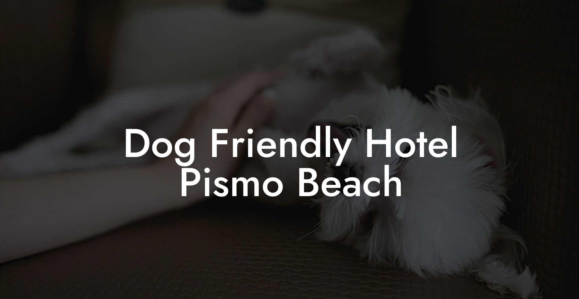 Dog Friendly Hotel Pismo Beach