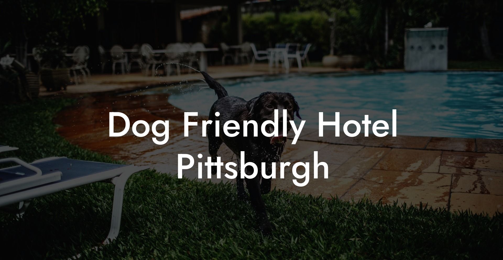 Dog Friendly Hotel Pittsburgh
