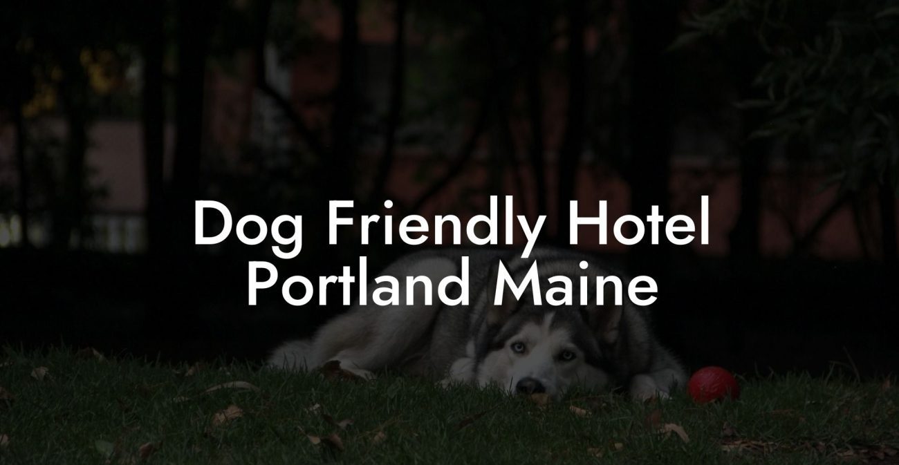 Dog Friendly Hotel Portland Maine