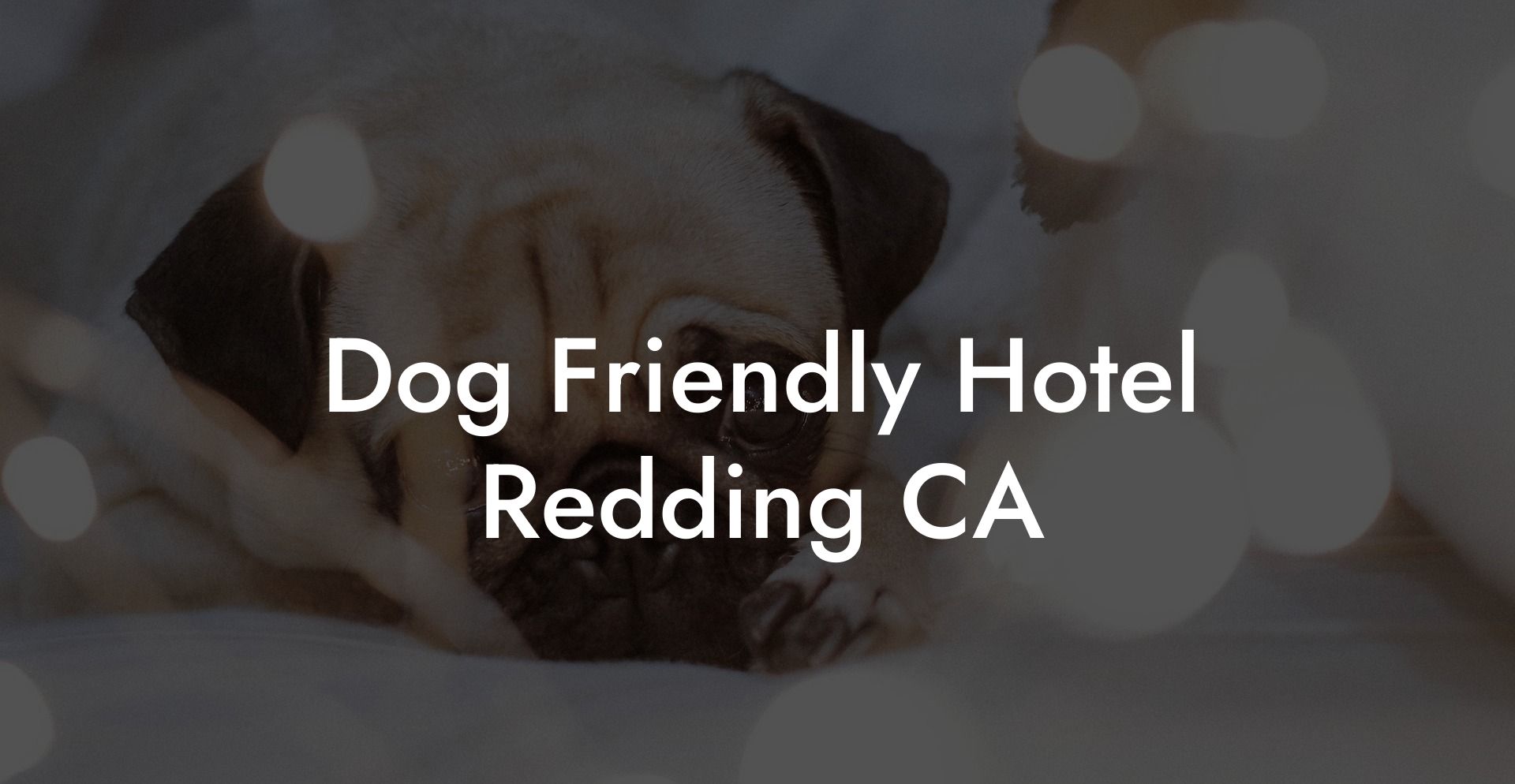 Dog Friendly Hotel Redding CA