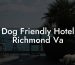 Dog Friendly Hotel Richmond Va