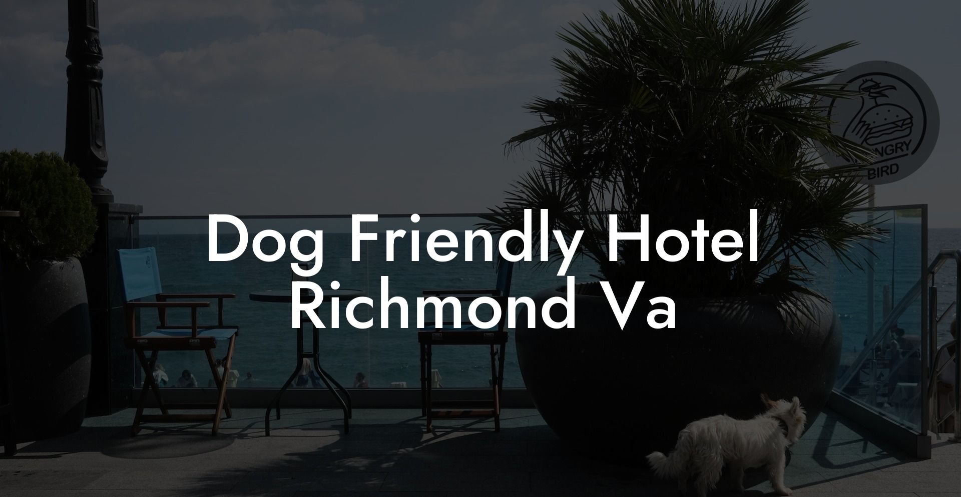 Dog Friendly Hotel Richmond Va