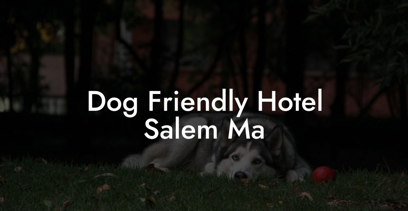 Dog Friendly Hotel Salem Ma