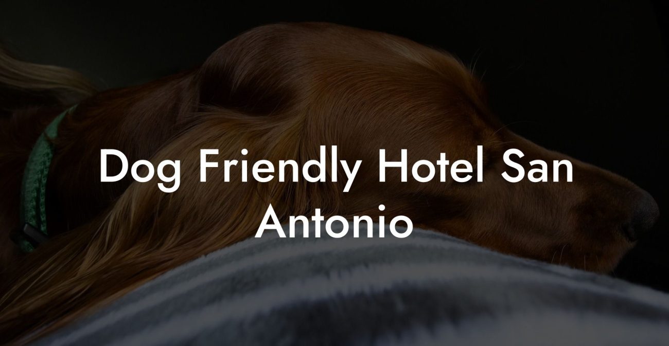 Dog Friendly Hotel San Antonio