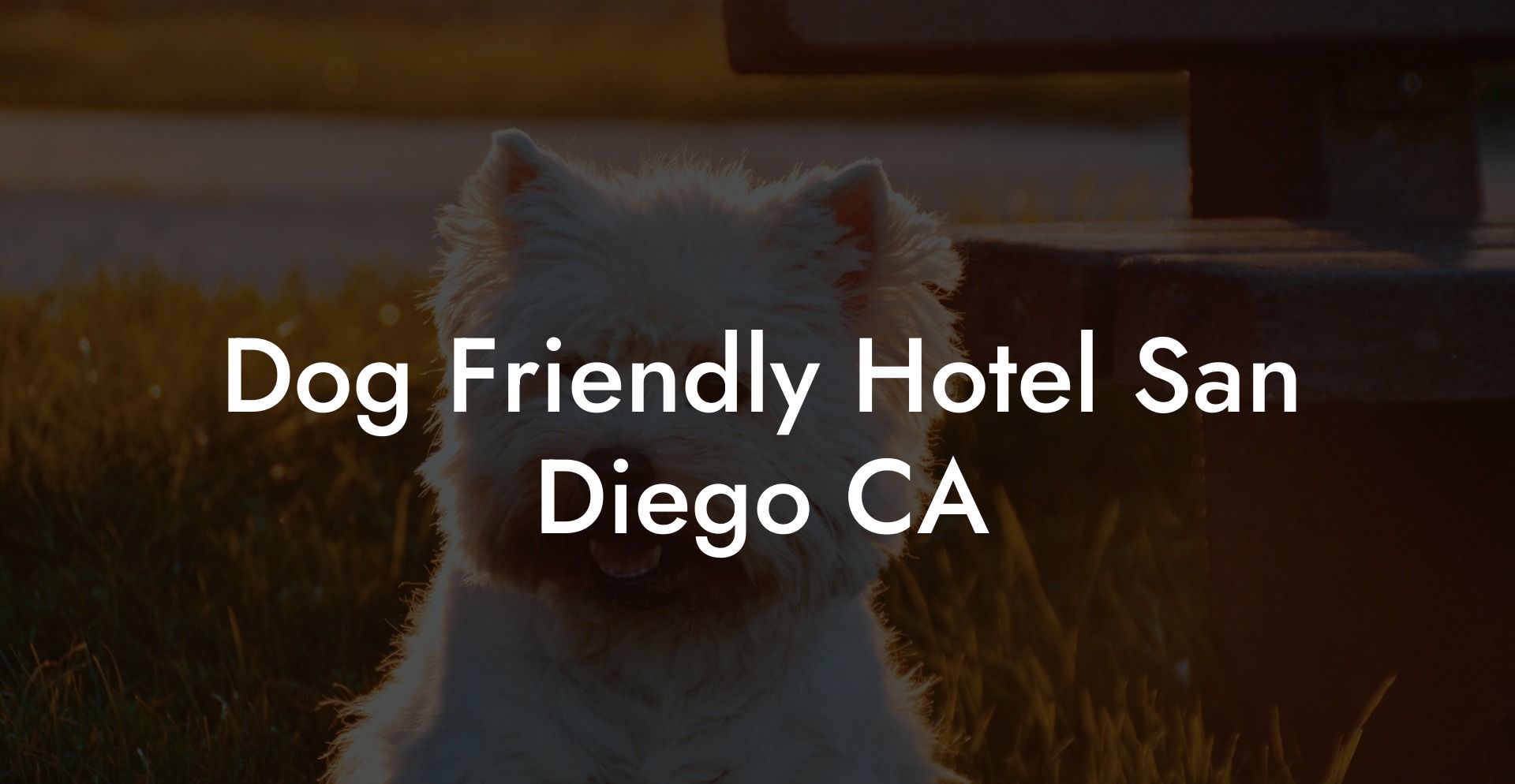 Dog Friendly Hotel San Diego CA