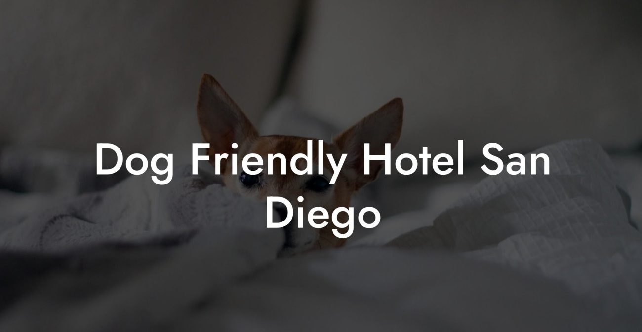 Dog Friendly Hotel San Diego