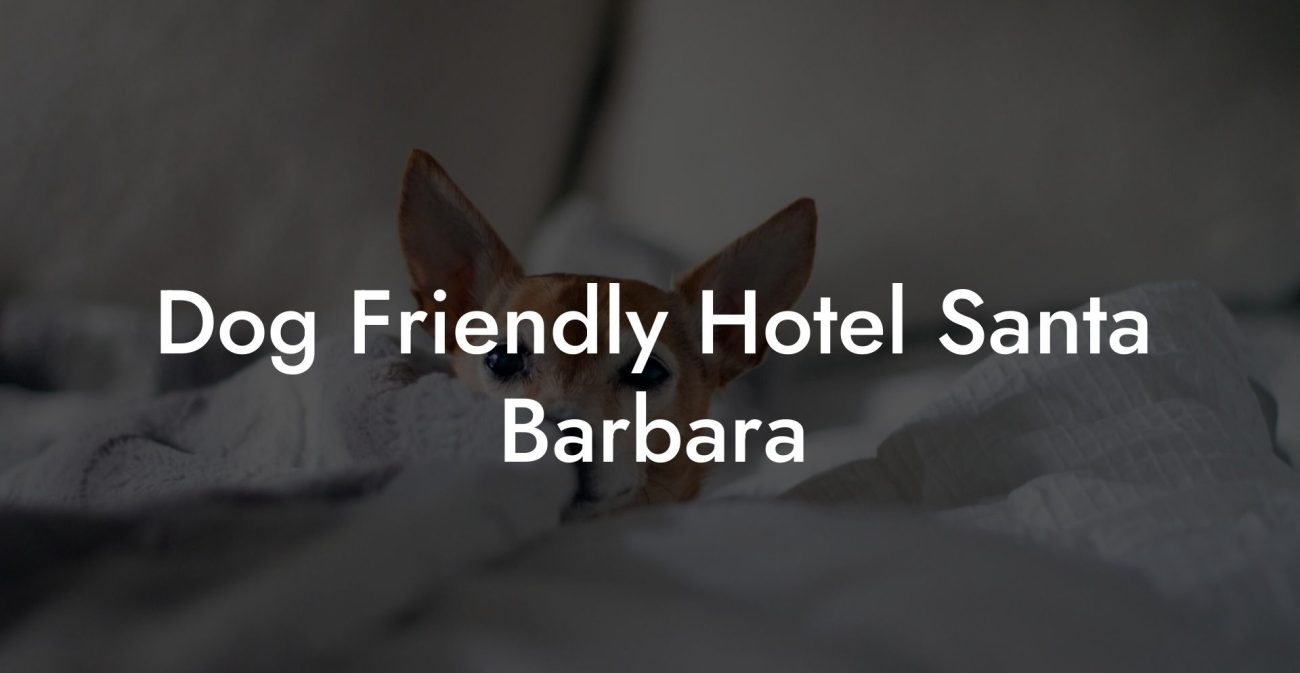 Dog Friendly Hotel Santa Barbara