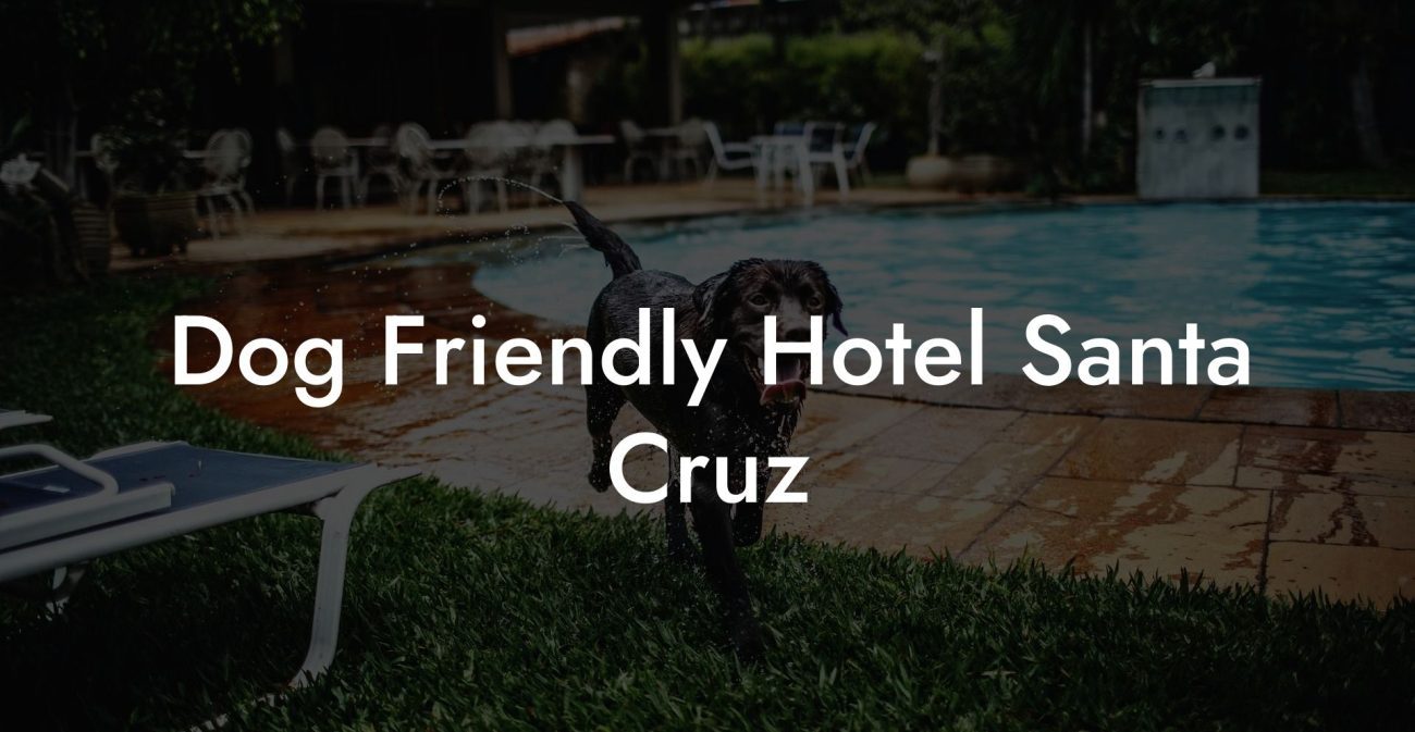 Dog Friendly Hotel Santa Cruz