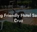 Dog Friendly Hotel Santa Cruz