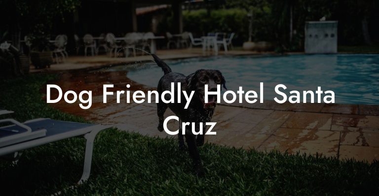 Dog Friendly Hotel Santa Cruz - Dog Hotels