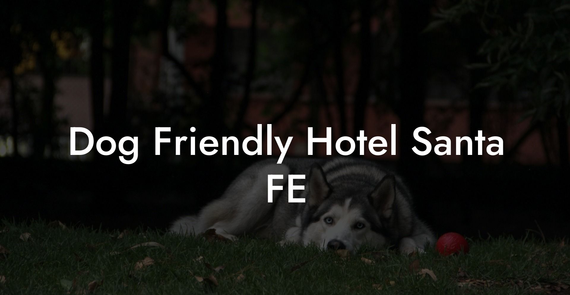 Dog Friendly Hotel Santa FE