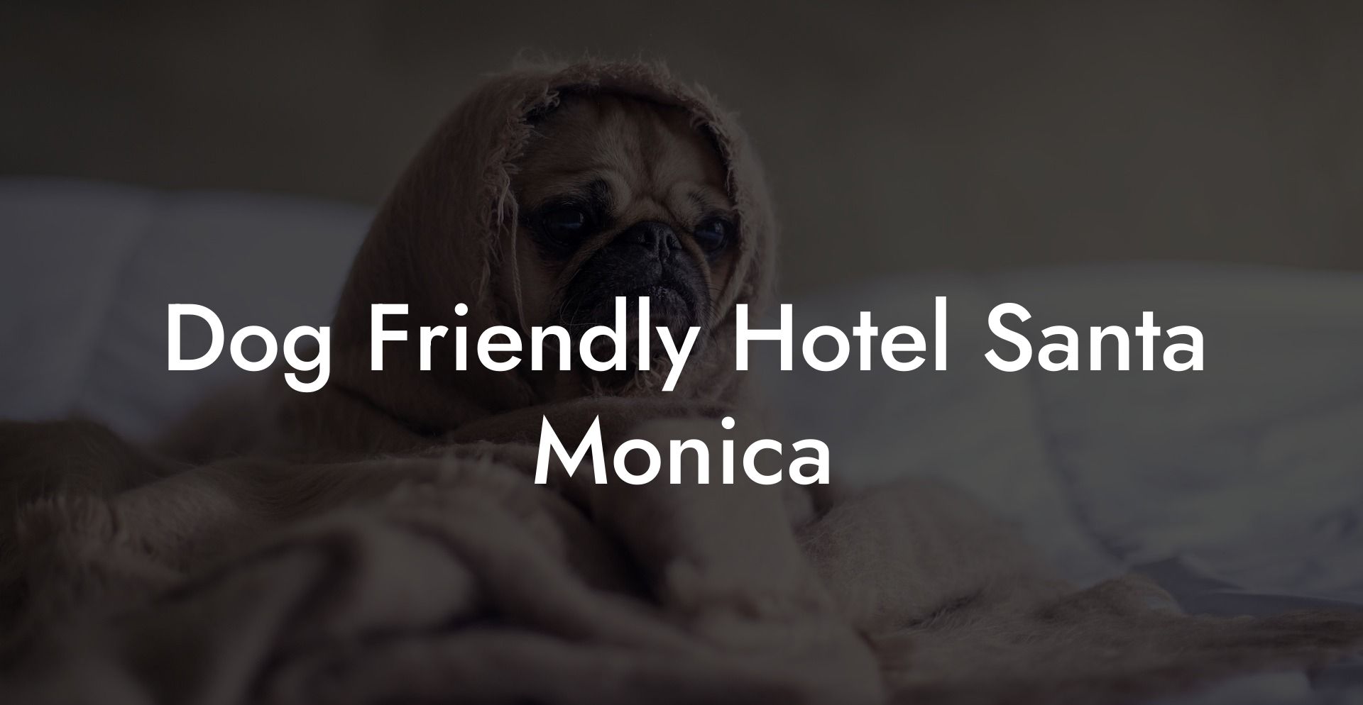 Dog Friendly Hotel Santa Monica
