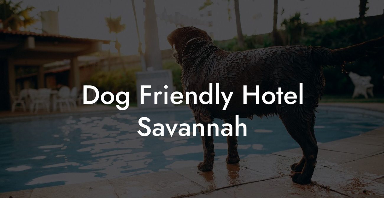 Dog Friendly Hotel Savannah