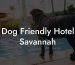 Dog Friendly Hotel Savannah