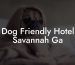 Dog Friendly Hotel Savannah Ga