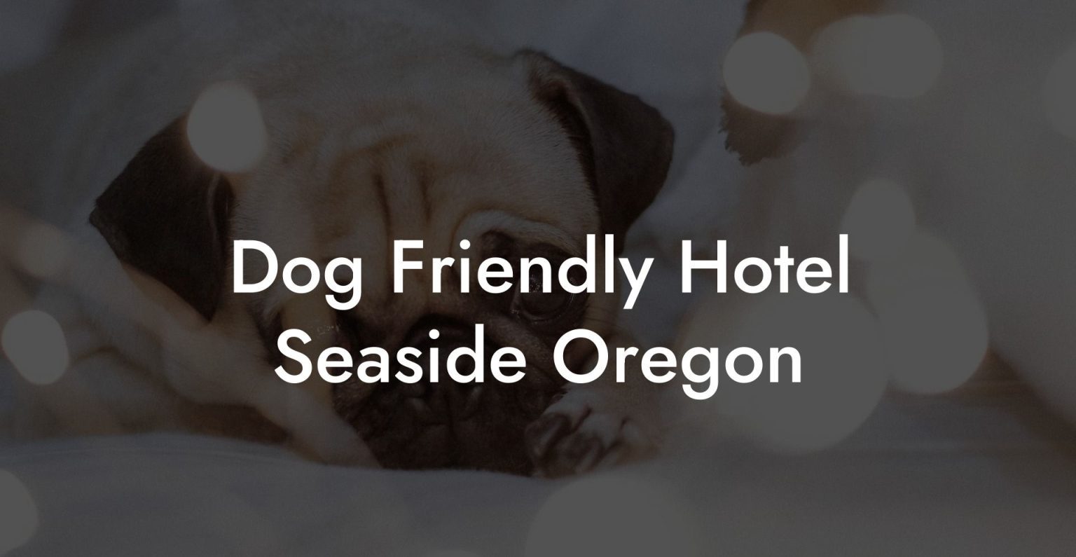Dog Friendly Hotel Seaside Oregon Dog Hotels