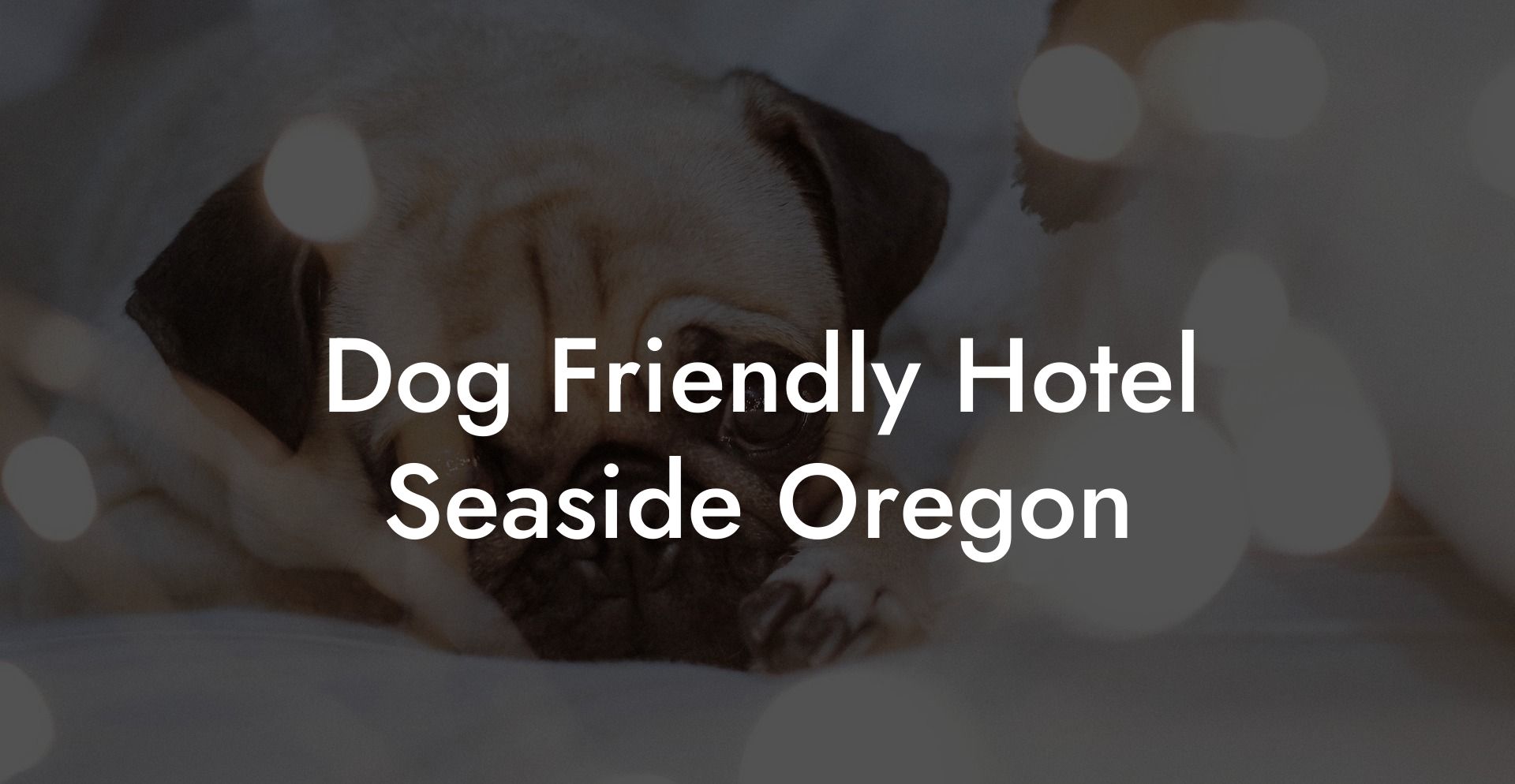 Dog Friendly Hotel Seaside Oregon
