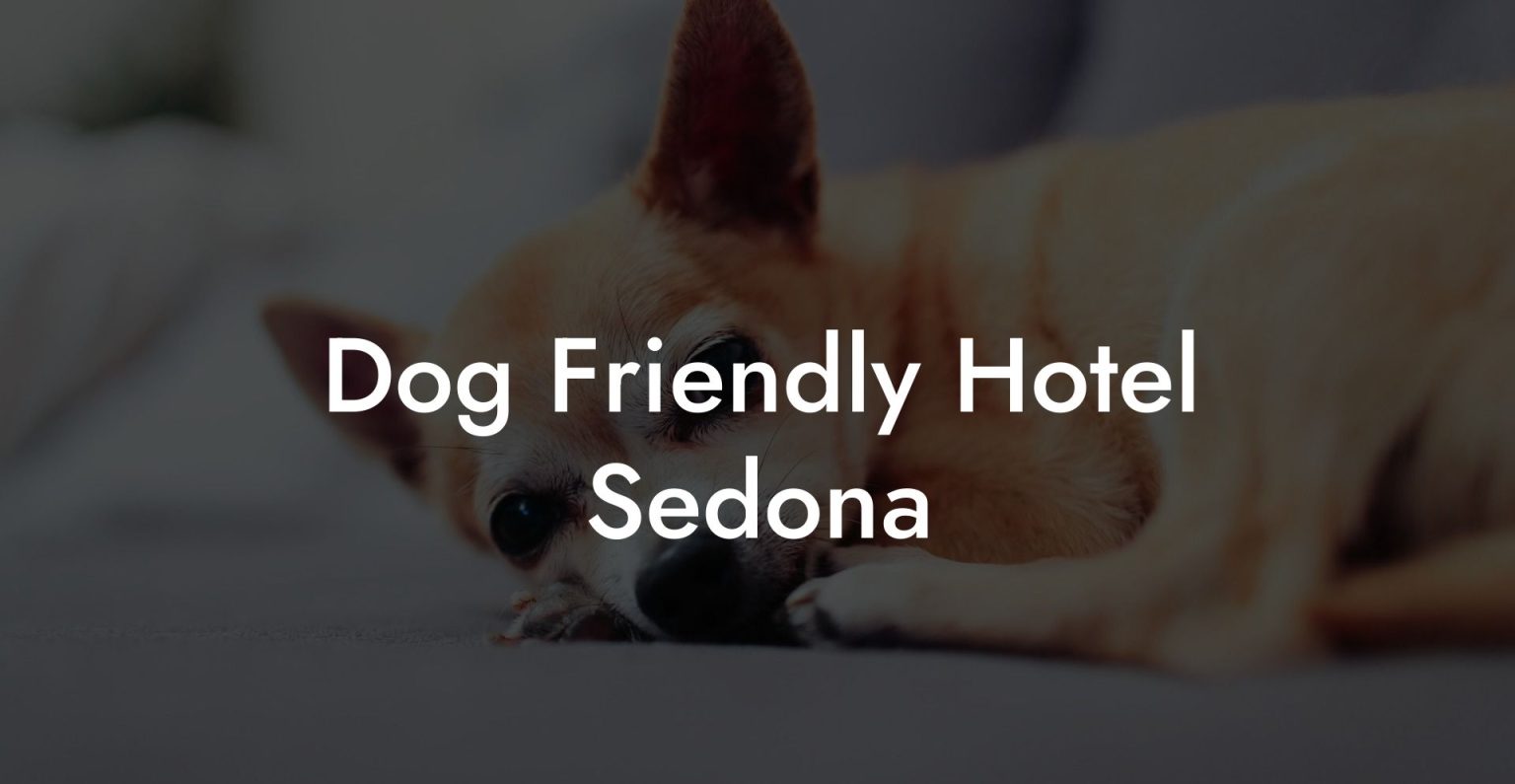 Dog Friendly Hotel Sedona Dog Hotels