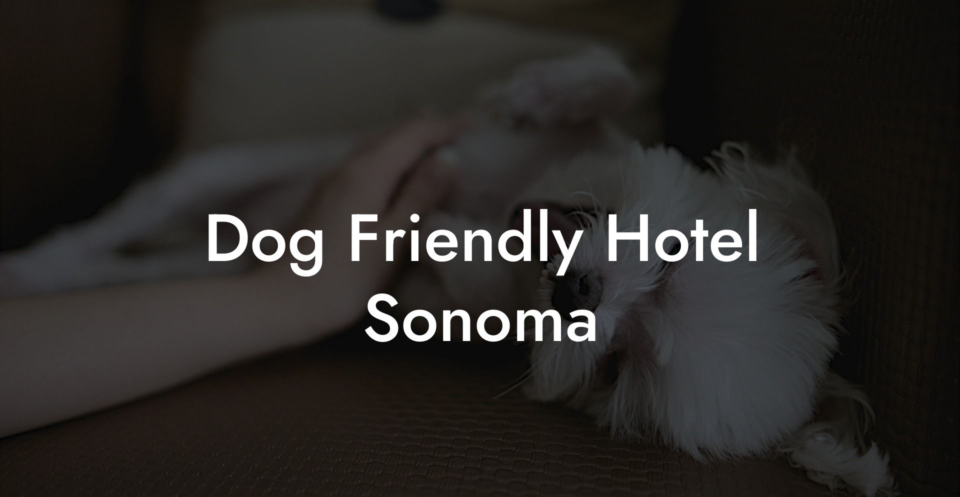 Dog Friendly Hotel Sonoma