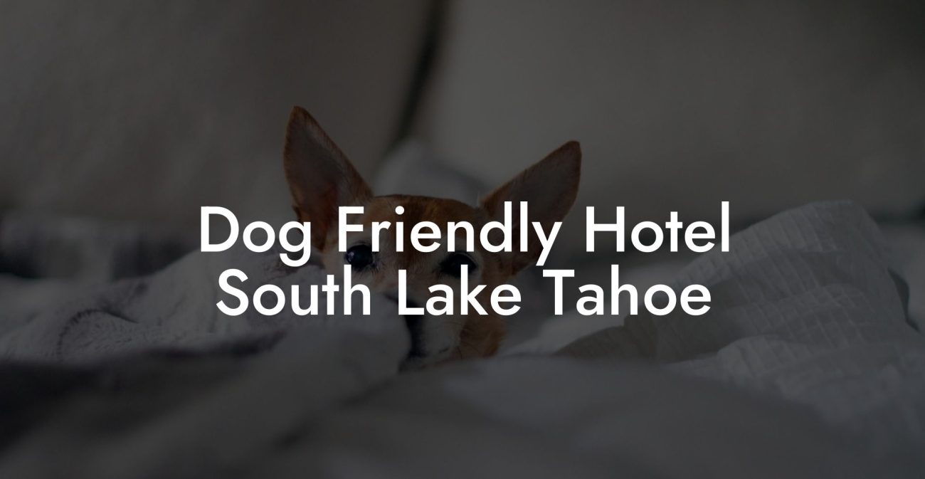 Dog Friendly Hotel South Lake Tahoe