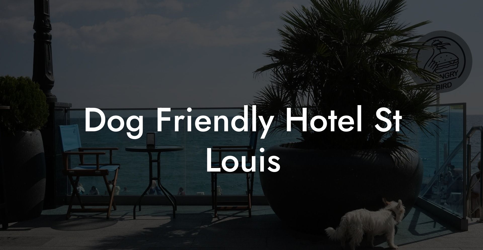 Dog Friendly Hotel St Louis