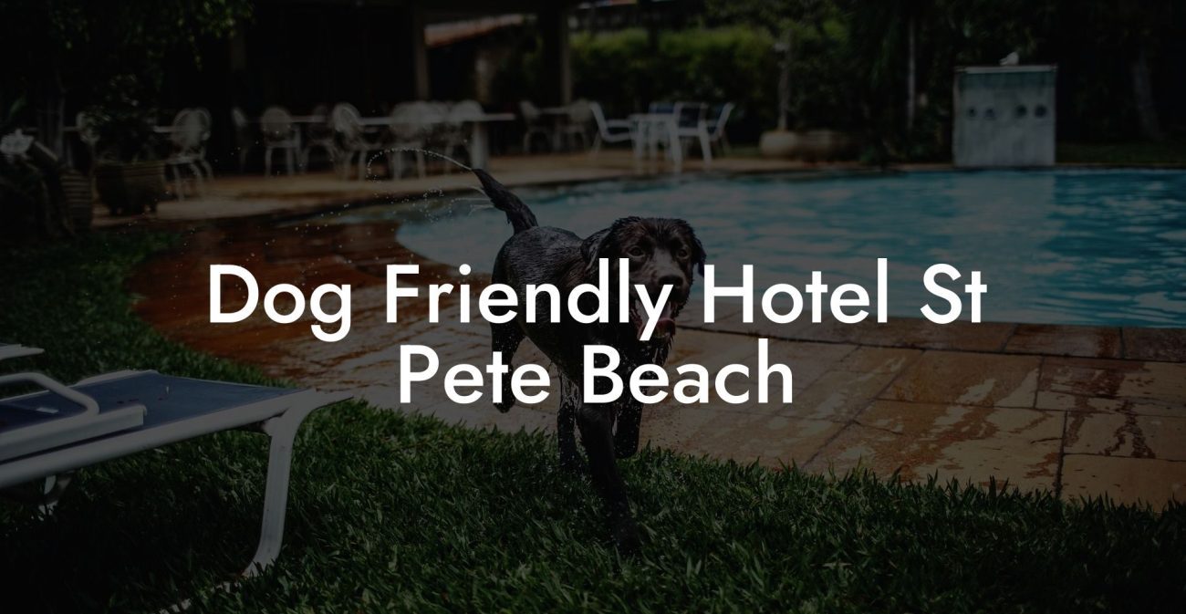 Dog Friendly Hotel St Pete Beach