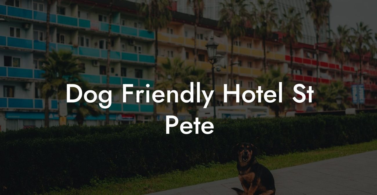 Dog Friendly Hotel St Pete