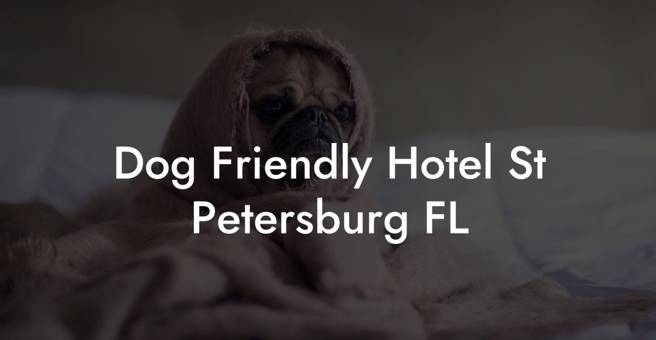 Dog Friendly Hotel St Petersburg FL