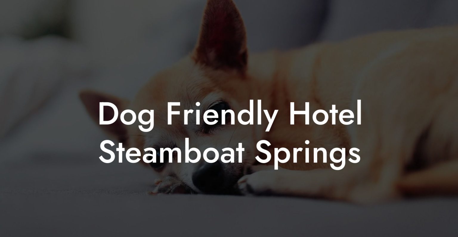 Dog Friendly Hotel Steamboat Springs Dog Hotels