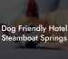 Dog Friendly Hotel Steamboat Springs