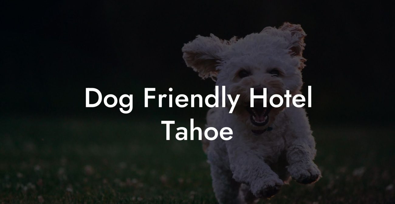 Dog Friendly Hotel Tahoe