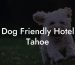 Dog Friendly Hotel Tahoe