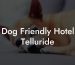 Dog Friendly Hotel Telluride
