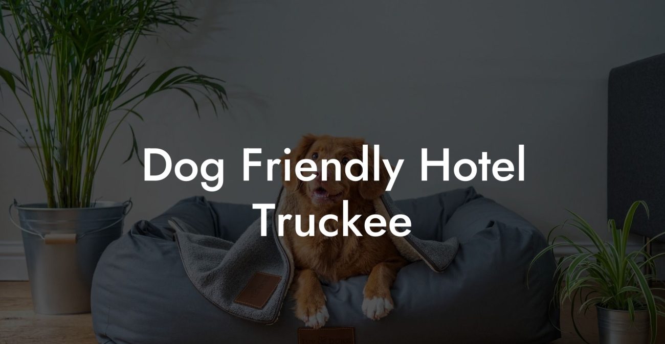 Dog Friendly Hotel Truckee