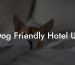 Dog Friendly Hotel Uk