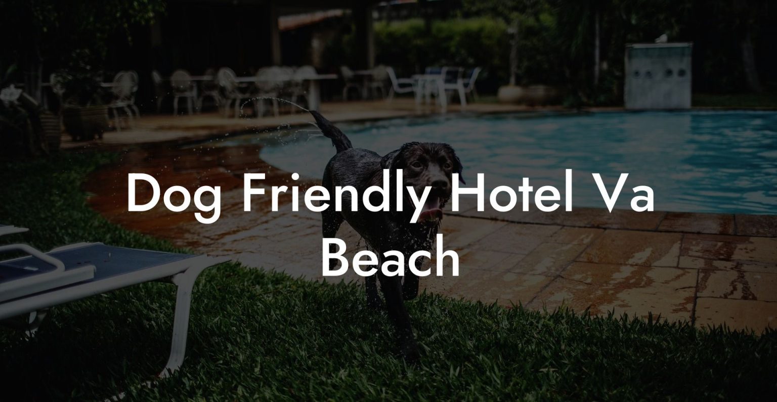 Dog Friendly Hotel Va Beach Dog Hotels