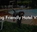 Dog Friendly Hotel Vail