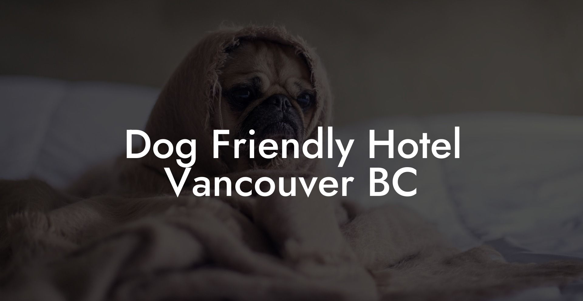 Dog Friendly Hotel Vancouver BC