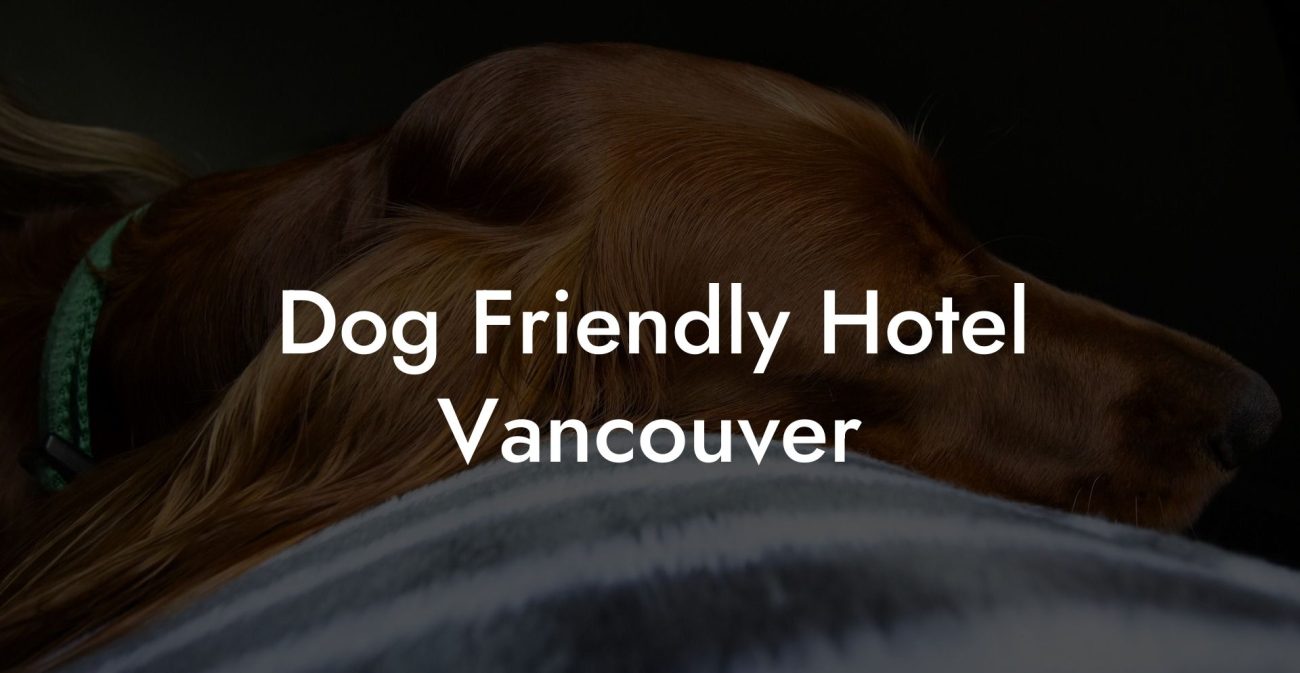 Dog Friendly Hotel Vancouver