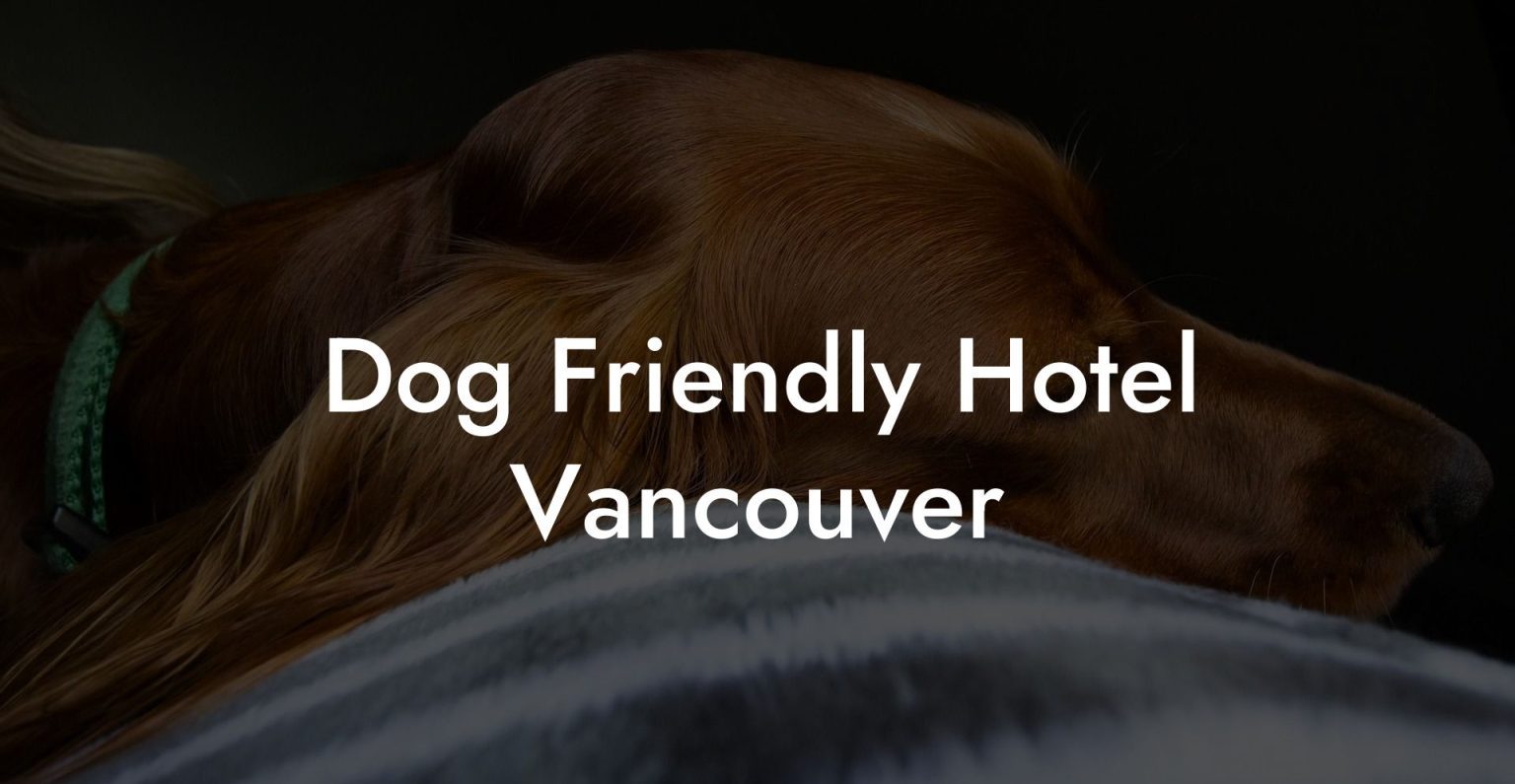 Dog Friendly Hotel Vancouver Dog Hotels