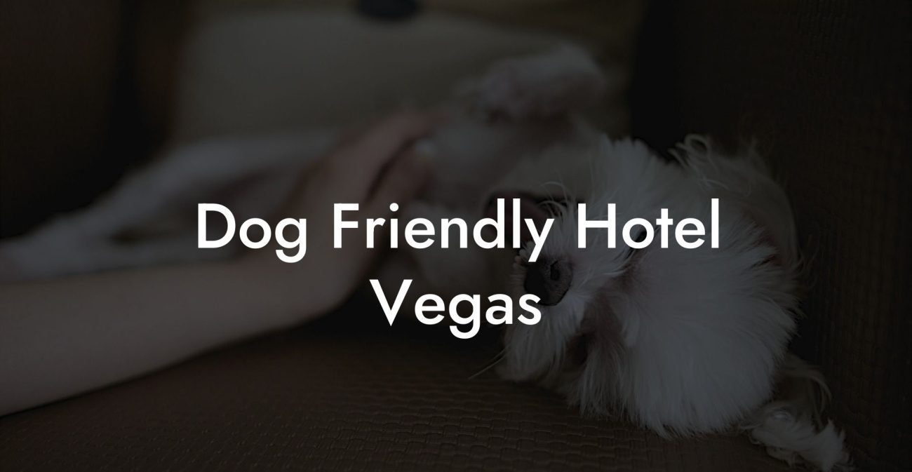 Dog Friendly Hotel Vegas