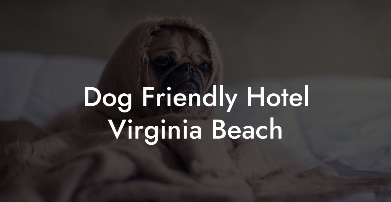 Dog Friendly Hotel Virginia Beach