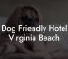Dog Friendly Hotel Virginia Beach