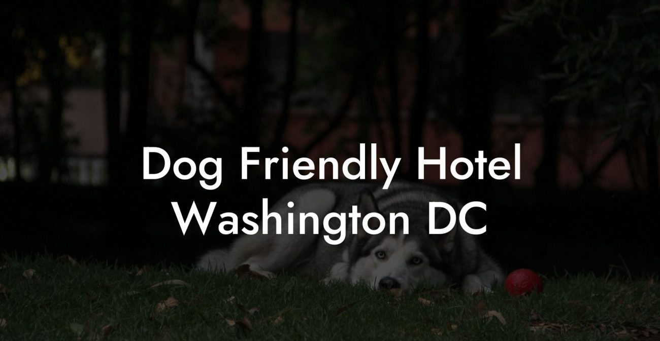 Dog Friendly Hotel Washington DC