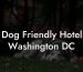 Dog Friendly Hotel Washington DC