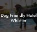 Dog Friendly Hotel Whistler