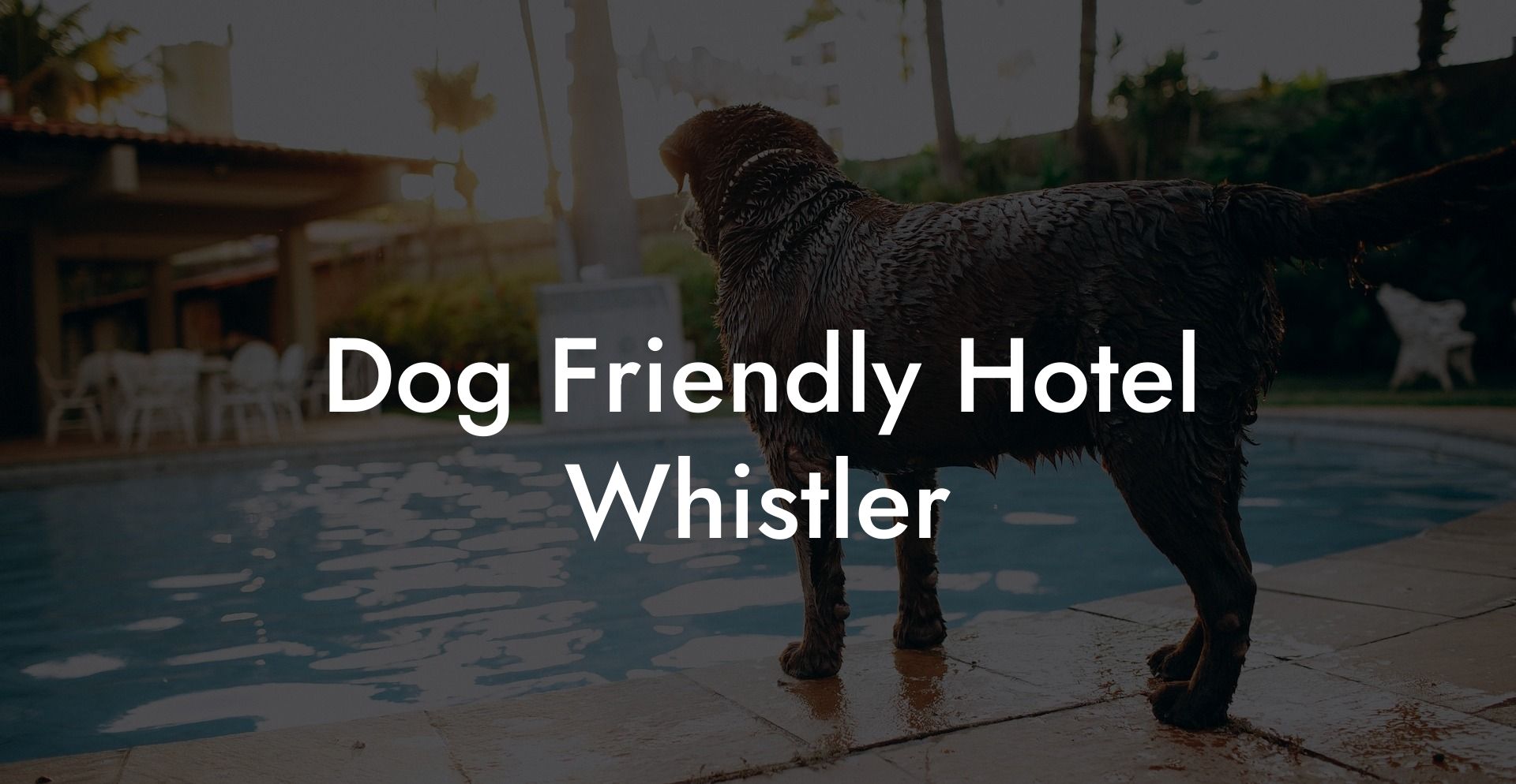 Dog Friendly Hotel Whistler