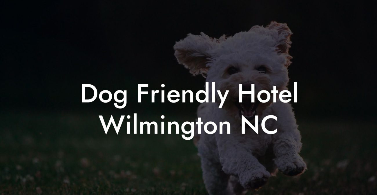 Dog Friendly Hotel Wilmington NC