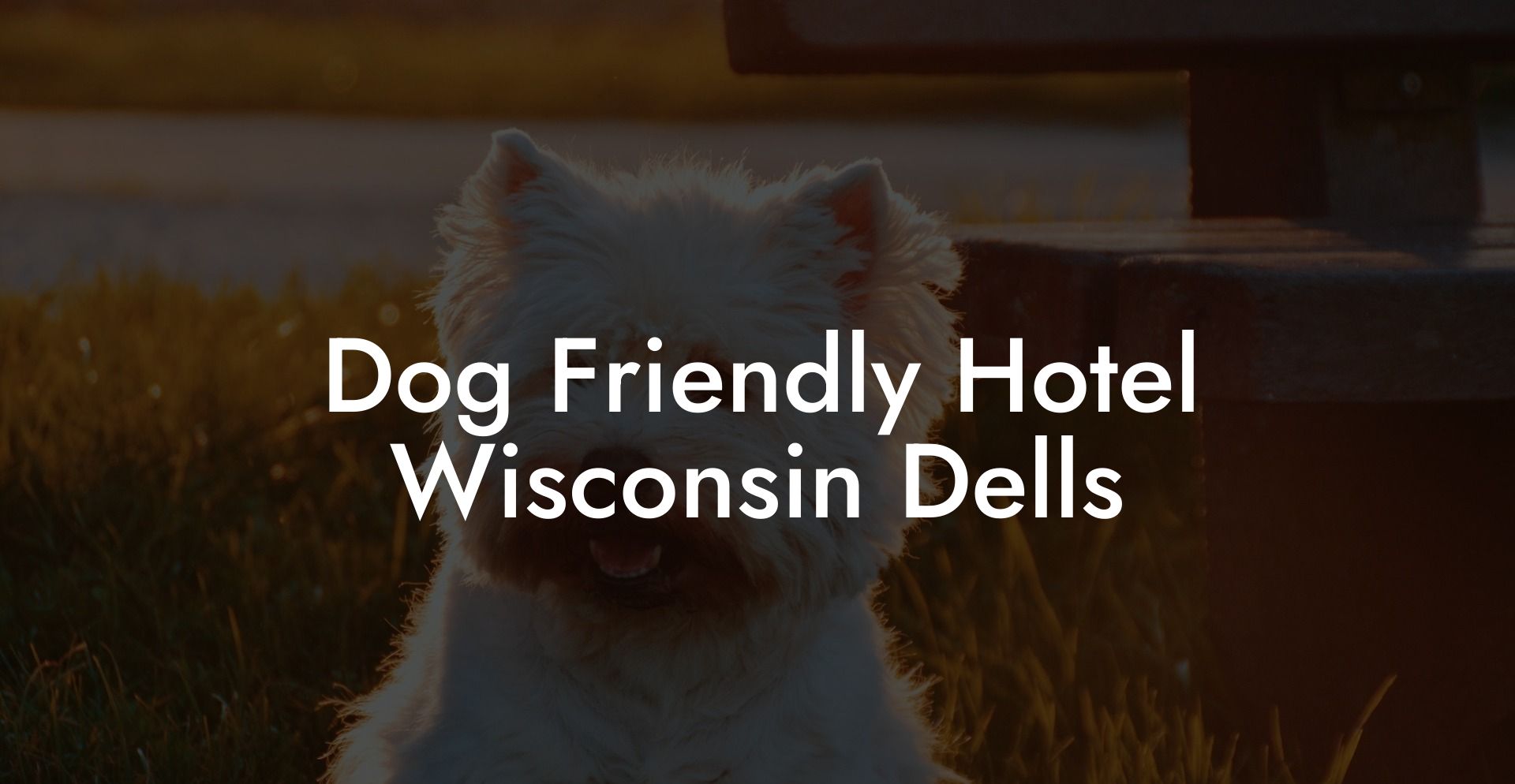 Dog Friendly Hotel Wisconsin Dells